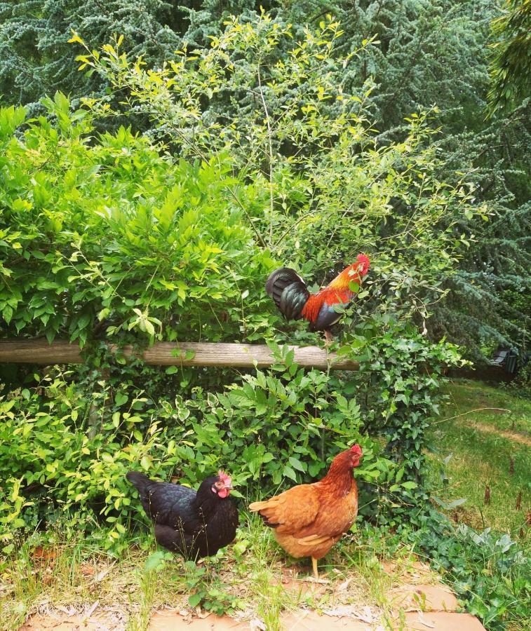 2 Coeurs 2 Landes Διαμέρισμα Garrosse Εξωτερικό φωτογραφία
