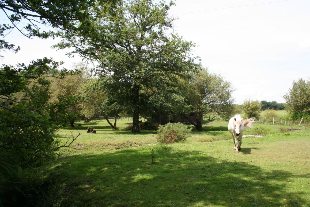 2 Coeurs 2 Landes Διαμέρισμα Garrosse Εξωτερικό φωτογραφία