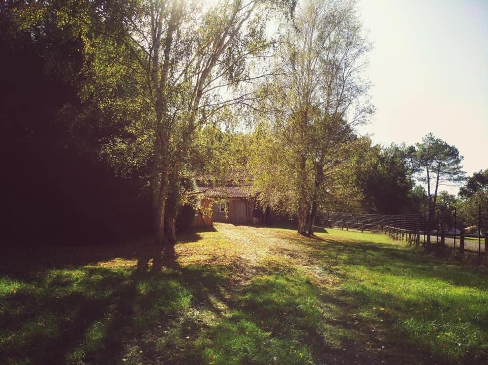 2 Coeurs 2 Landes Διαμέρισμα Garrosse Εξωτερικό φωτογραφία