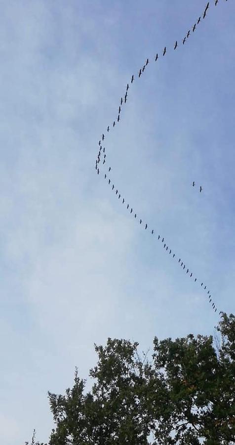 2 Coeurs 2 Landes Διαμέρισμα Garrosse Εξωτερικό φωτογραφία